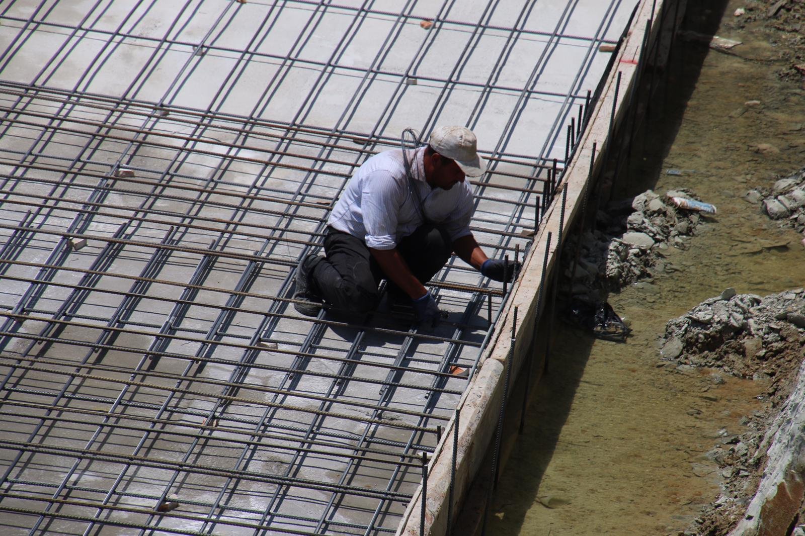 ZEYTİNCİLİK ENSTİTÜSÜNDE ÇALIŞMALAR TAM GAZ