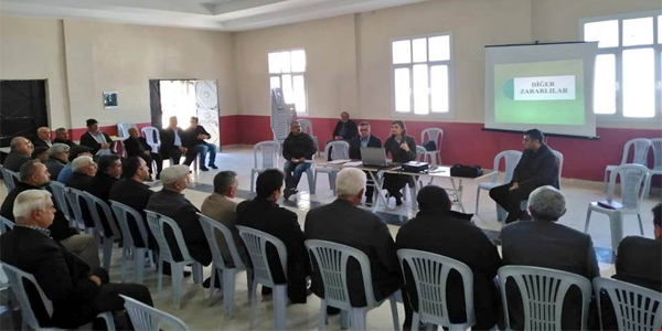 Zeytin Yetiştiriciliği Bilgilendirme Toplantısı Yapıldı