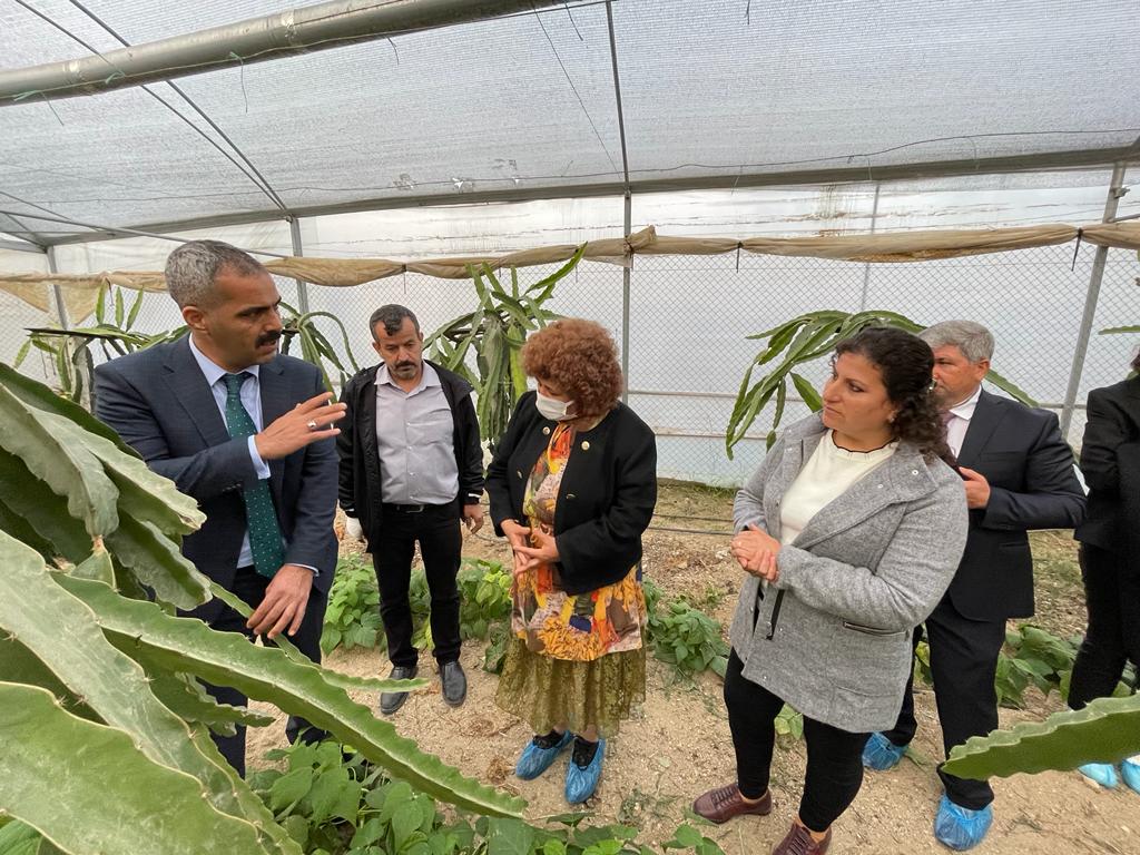 Defne'de alternatif tarım semineri