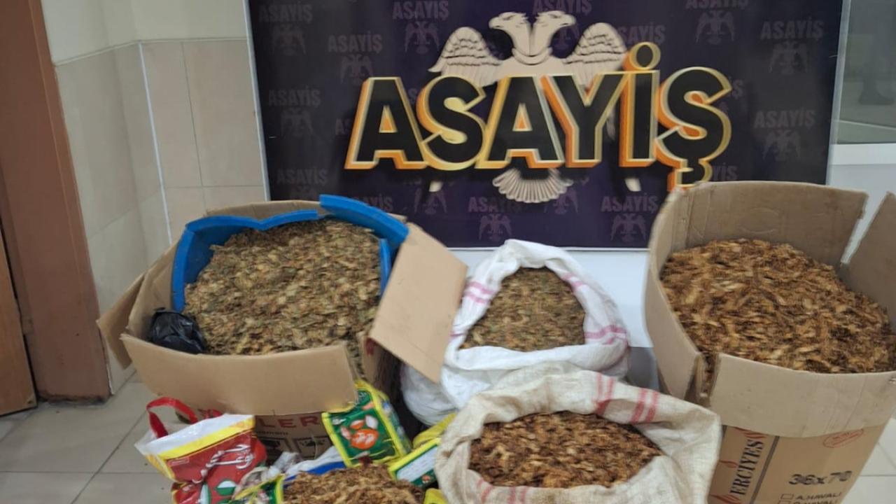 Araçta 250 Kilo Tütün Ele Geçirildi