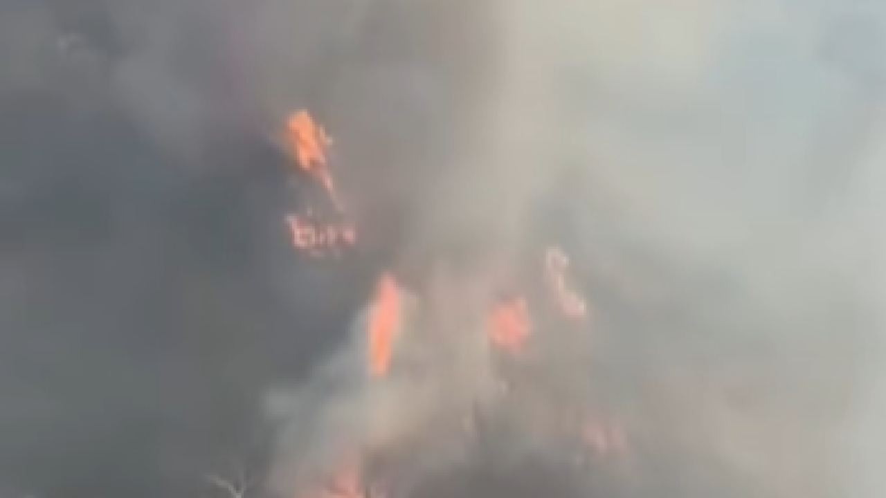 Belen Çerçikaya&#039;da Orman Yangını