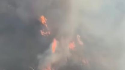 Belen Çerçikaya'da Orman Yangını