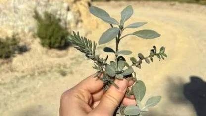 Birlikte Yürü, Doğayı Hisset, Gücü Keşfet