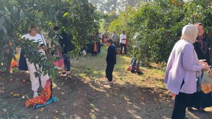 FİLELERİ ALANLAR BAHÇEYE DALDI