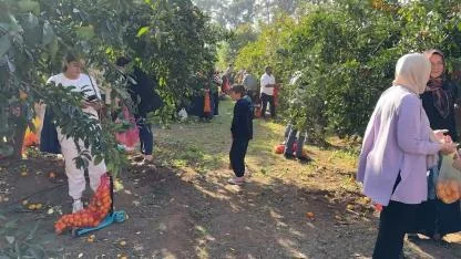 FİLELERİ ALANLAR BAHÇEYE DALDI