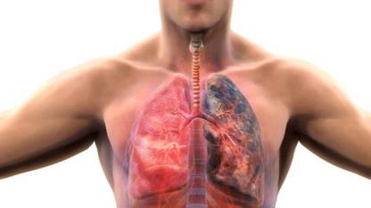 İKLİM DEĞİŞİKLİĞİ KOAH’I ARTIRIYOR