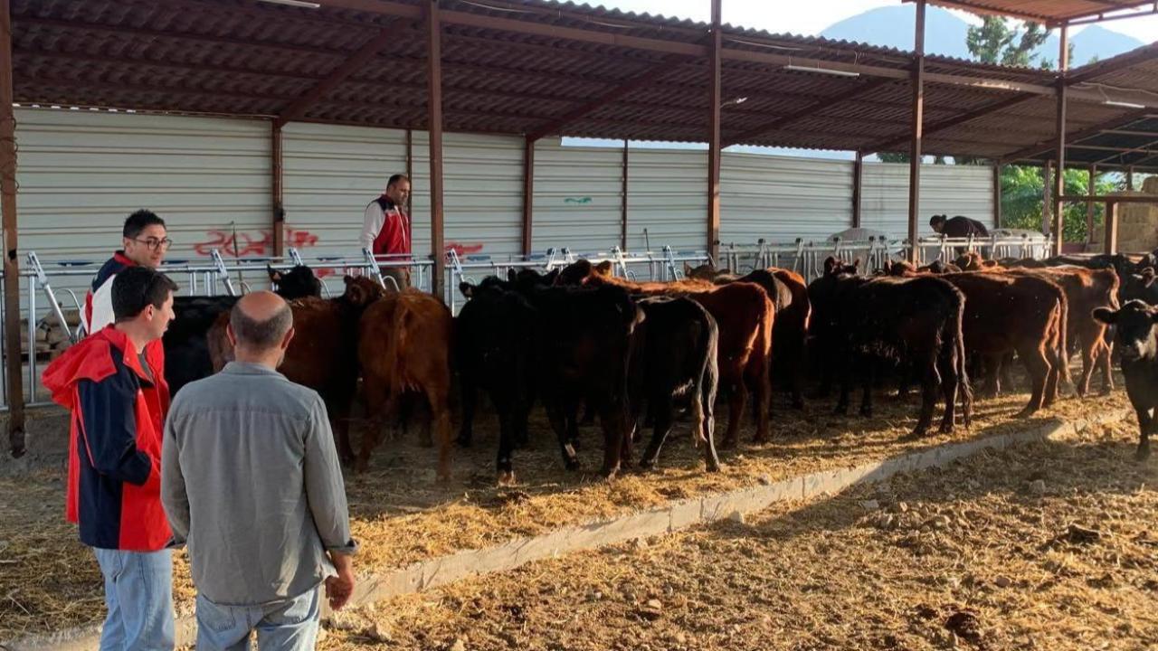 İlk Düveler Teslim Edildi, Denetimler Başladı