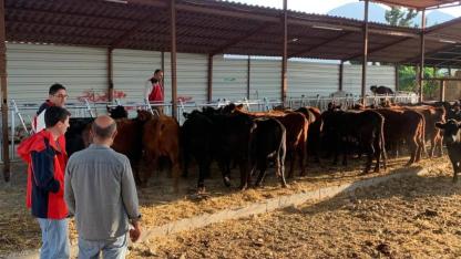 İlk Düveler Teslim Edildi, Denetimler Başladı