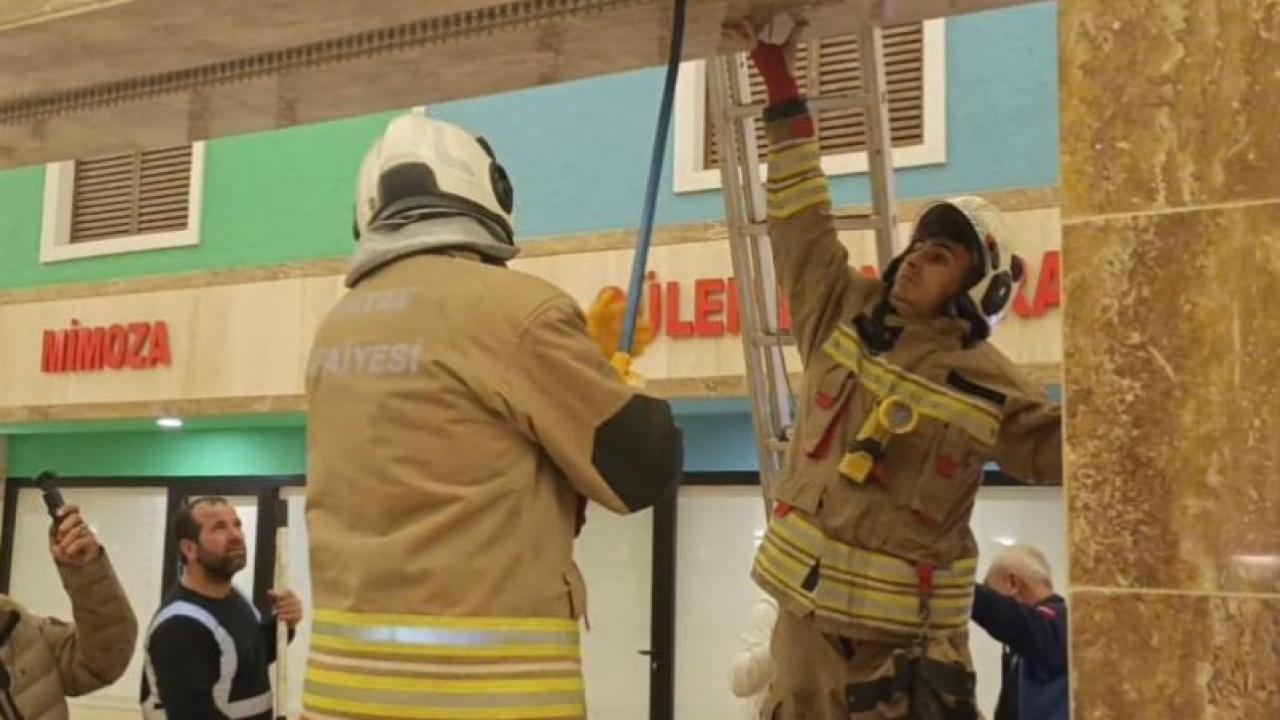 Minik Kedi İtfaiye Ekipleriyle Kurtarıldı