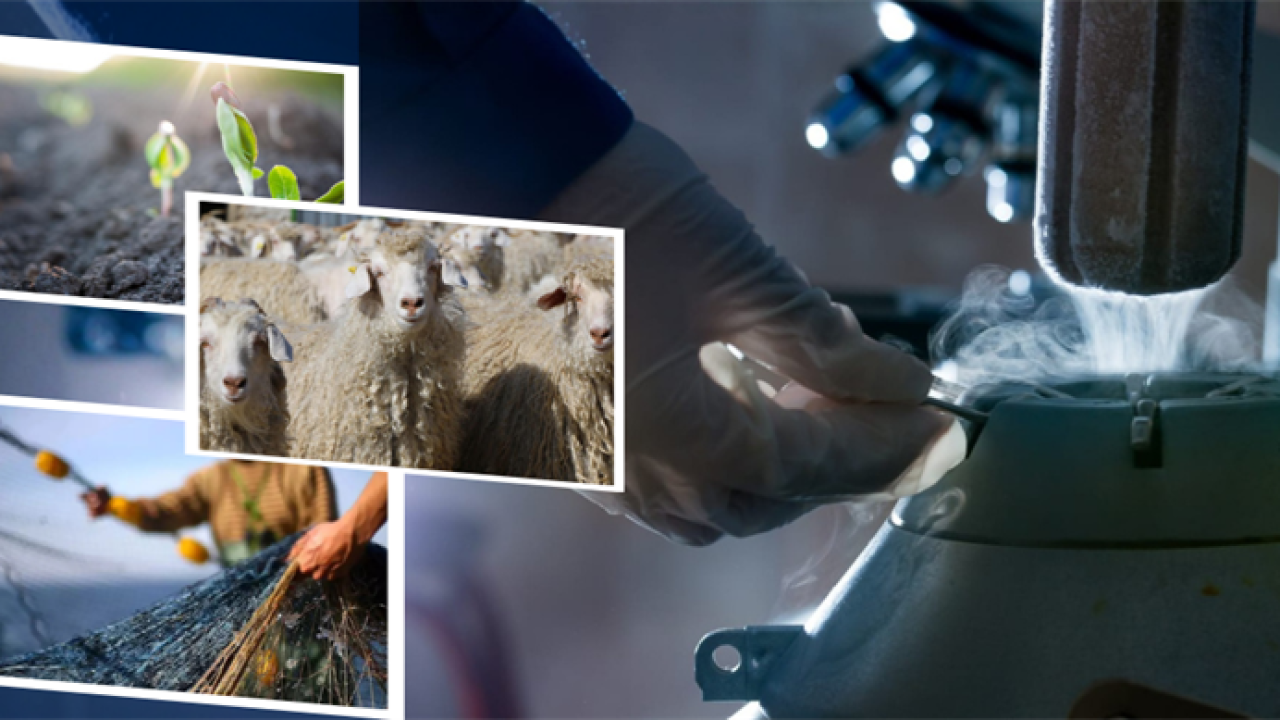 1 Milyar 137 Milyon TL Ödeme Bugün Hesaplarda