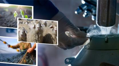 1 Milyar 137 Milyon TL Ödeme Bugün Hesaplarda