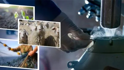 1 Milyar 137 Milyon TL Ödeme Bugün Hesaplarda