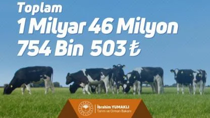 1 Milyar 46 Milyon Liralık Destek Bugün Hesaplarda