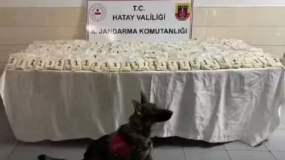 29 İlde Dev Uyuşturucu Operasyonu