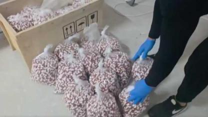 72 ilde Zehir Tacirleri Tek Tek Yakalandı