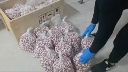 72 ilde Zehir Tacirleri Tek Tek Yakalandı