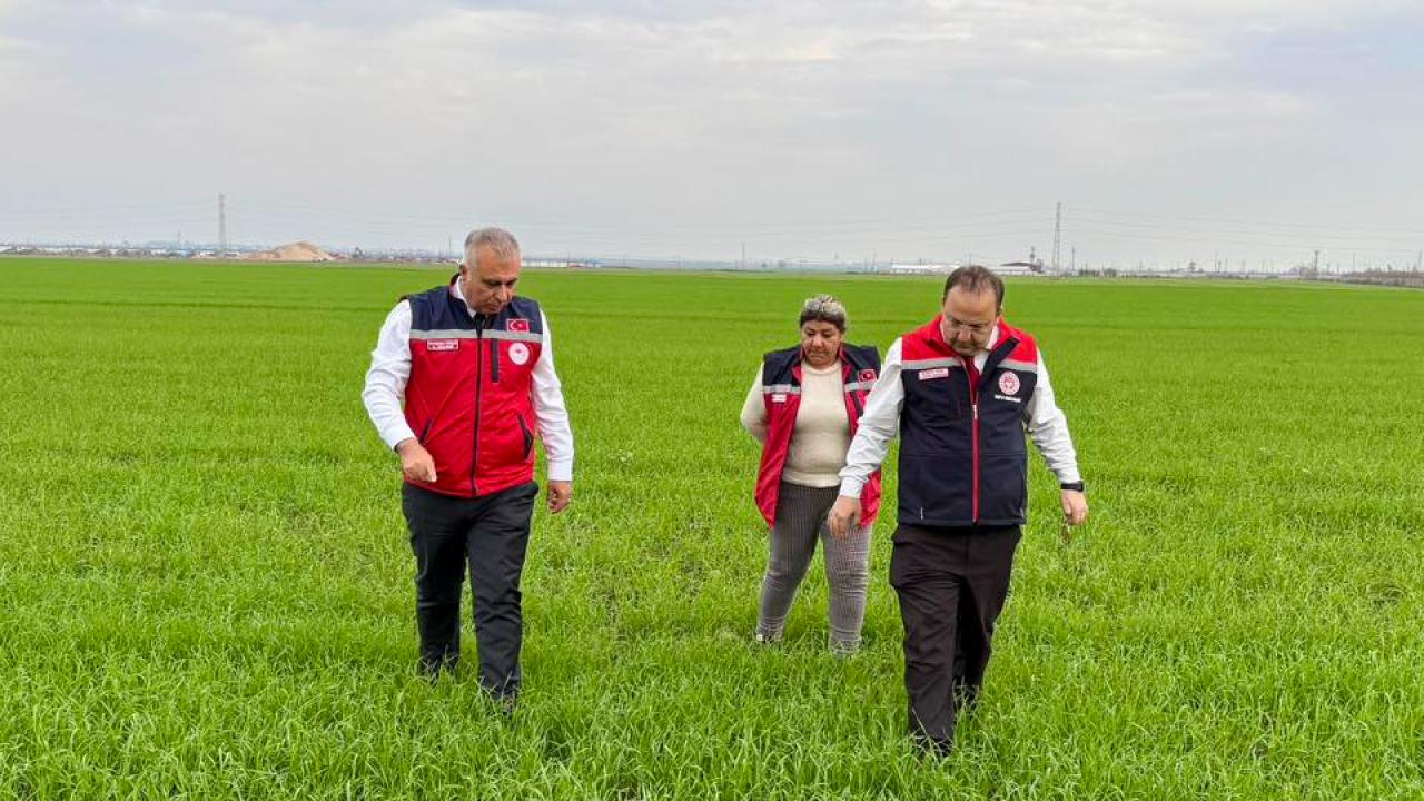 ANTAKYA’DA BUĞDAY TARLALARINA DENETİM