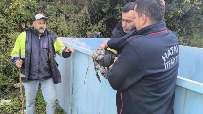 Arıtma Tesisine Düşen Baykuş İtfaiye Tarafından Kurtarıldı