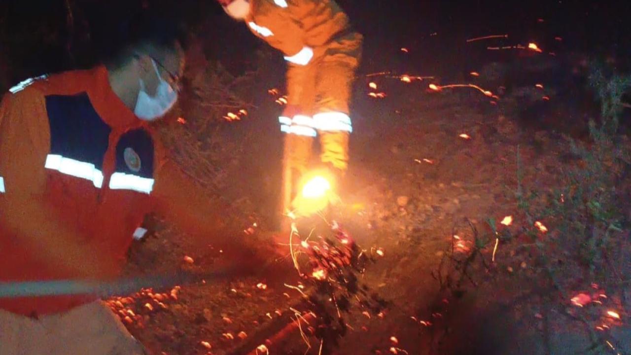 Arsuz’da Orman Yangını Korkuttu