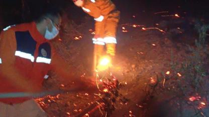 Arsuz’da Orman Yangını Korkuttu