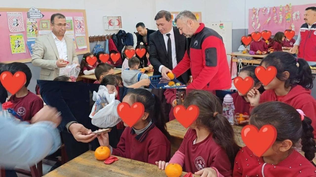 Balık Yiyelim, Sağlıklı Büyüyelim