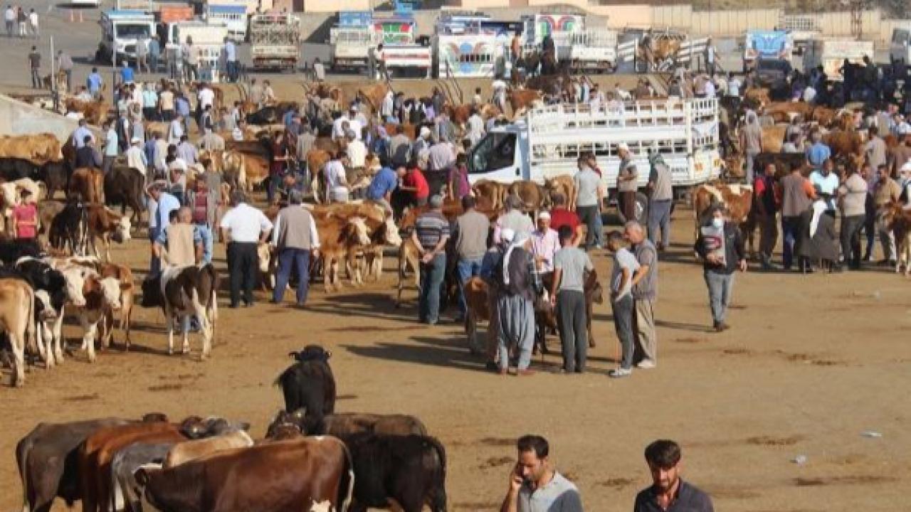 Dörtyol Hayvan Pazarı Yeniden Açılıyor