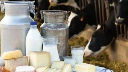 Ekim Ayında 895 Bin Ton İnek Sütü Toplandı