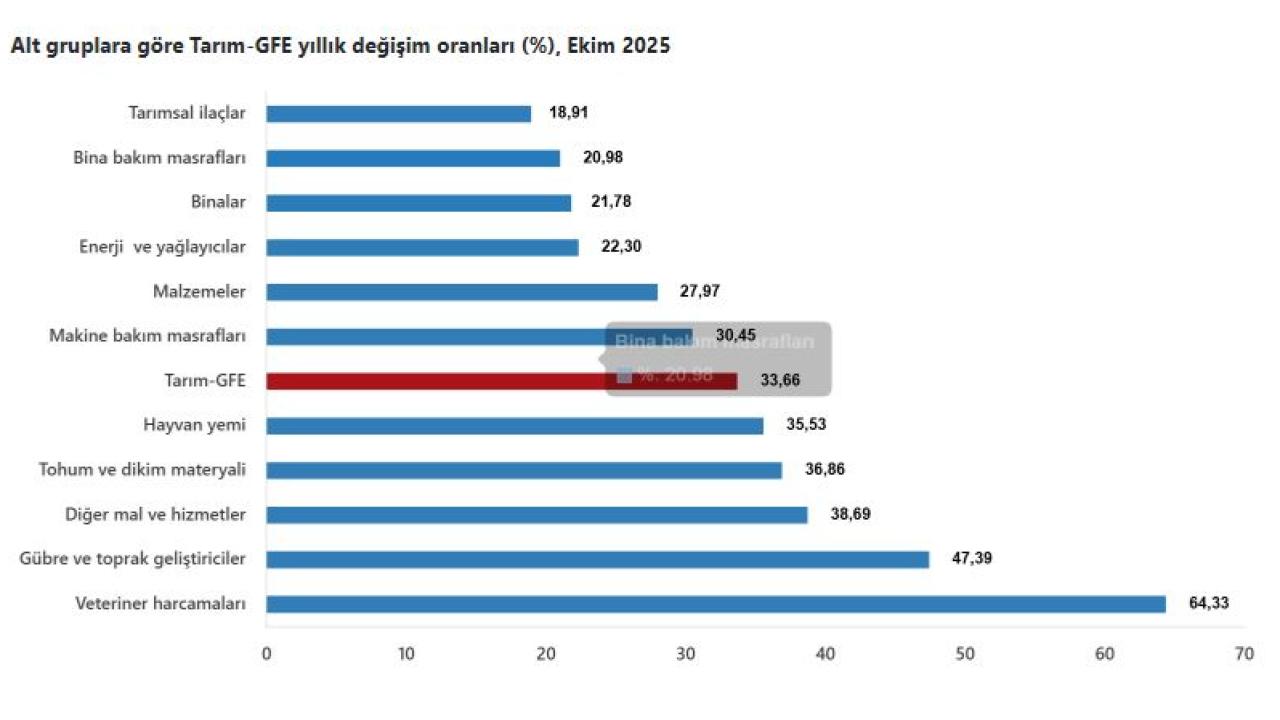 Girdi Fiyatları Bir Yılda Yüzde 33’ü Aştı