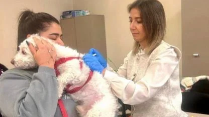 Hatay’da Patilere Kimlik Dönemi Başladı