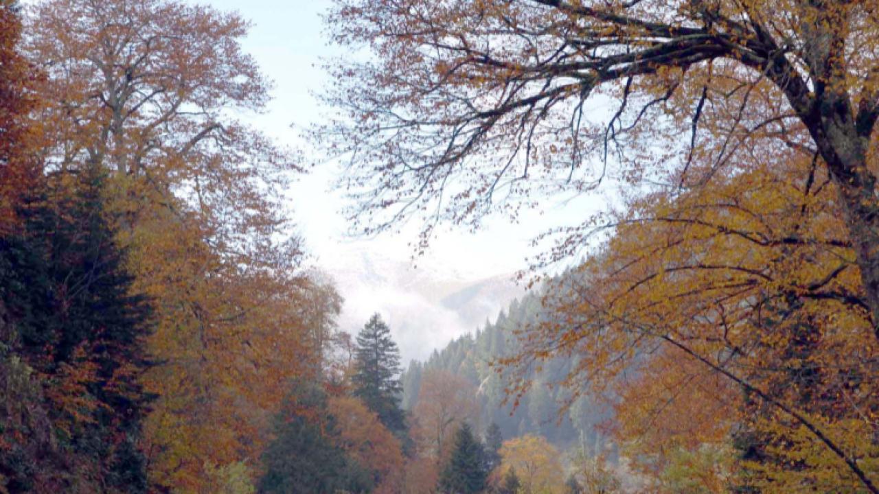 İKLİM DEĞİŞİKLİKLERİ MEVSİMLERİ KISALTIYOR