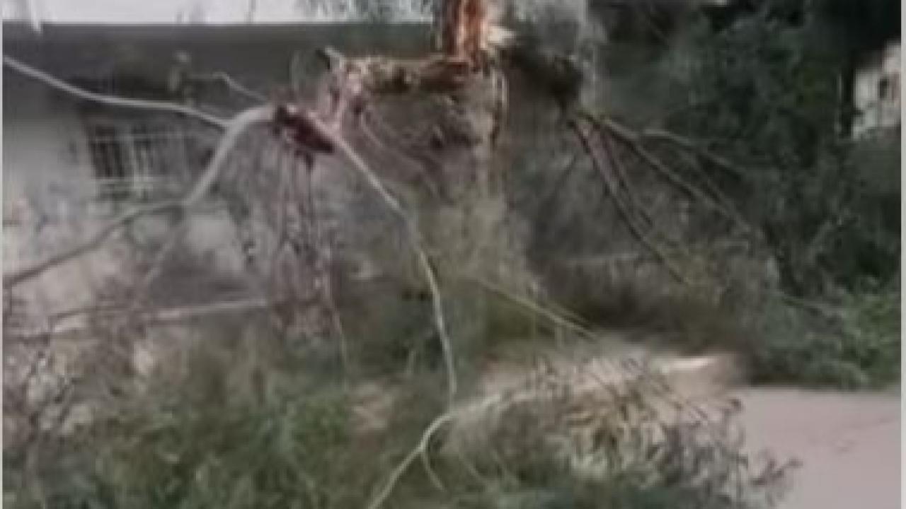 İskenderun’da Fırtına Çatılara Geçit Vermedi