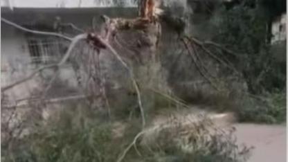 İskenderun’da Fırtına Çatılara Geçit Vermedi