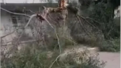 İskenderun’da Fırtına Çatılara Geçit Vermedi