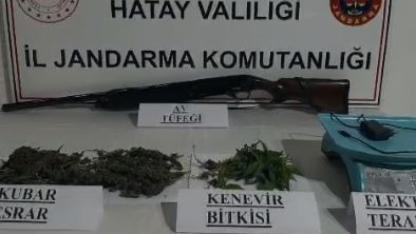 Jandarma’dan Esrar Operasyonu