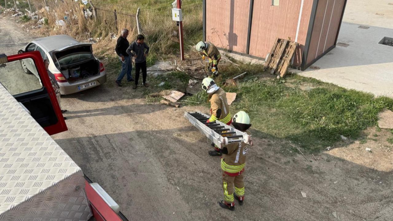 Kuyuya Düşen Koyunu İtfaiye Kurtardı
