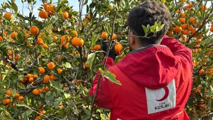 Mandalinalar İhtiyaç Sahiplerine Umut Oldu