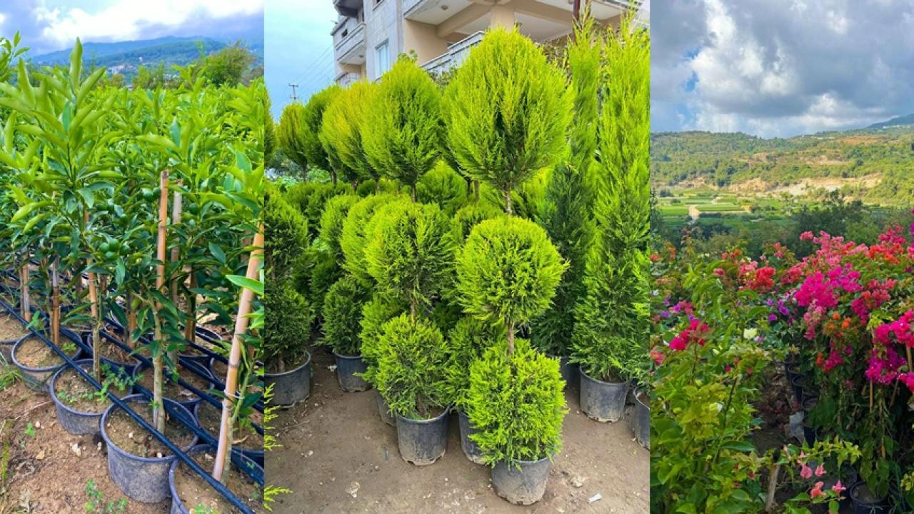 MKÜ’LÜ ÖĞRENCİDEN ÖRNEK BAŞARI