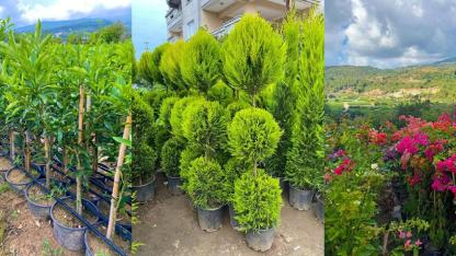 MKÜ’LÜ ÖĞRENCİDEN ÖRNEK BAŞARI