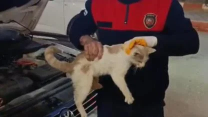 Motor Kısmına Sıkışan Kedi Kurtarıldı