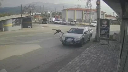 Motosiklet Sürücüsü Metrelerce Savruldu