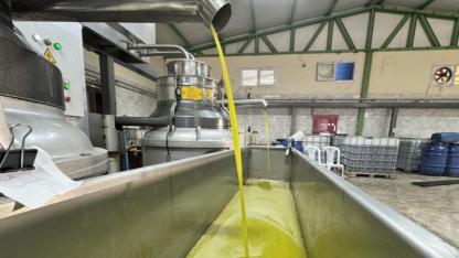 Muhtarın devlet desteğiyle kurduğu zeytinyağı üretim tesisi mahallelinin geçim kaynağı oldu