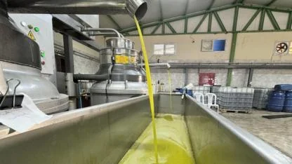 Muhtarın devlet desteğiyle kurduğu zeytinyağı üretim tesisi mahallelinin geçim kaynağı oldu