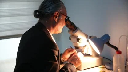 Oluklu Yengeçler İskenderun'da İnceleniyor