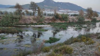 Taşkın Alanlarının Kaybı Kentleri Savunmasız Bırakıyor