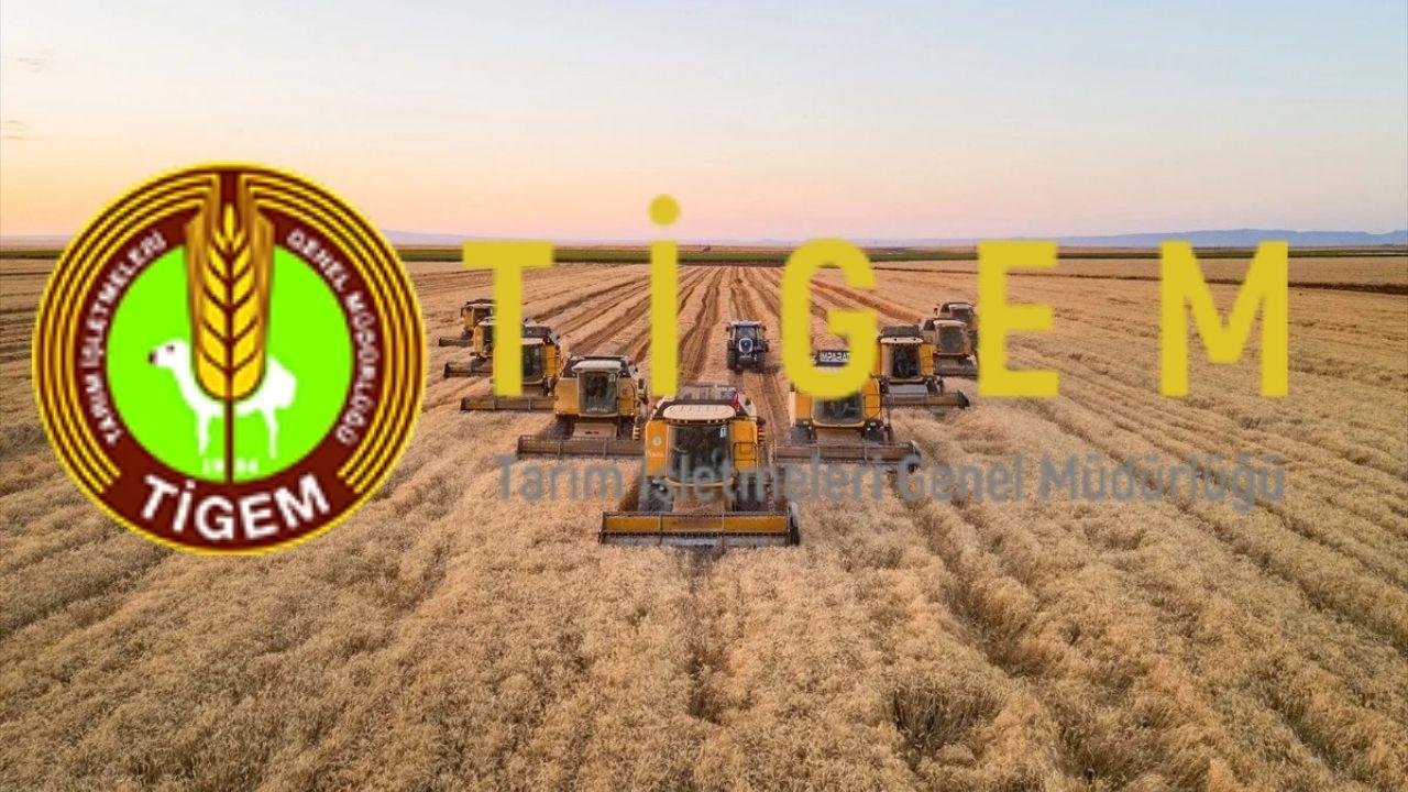 TİGEM 254 sürekli işçi alımı yapacak: Başvuru şartları, kadrolar ve kura takvimi belli oldu