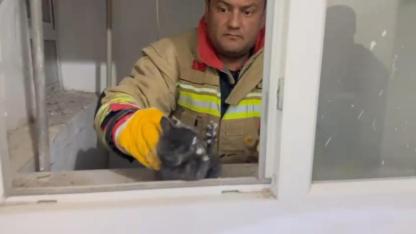 Yavru Kedi Havalandırma Boşluğuna Düştü