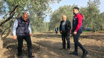 Zeytinde Kaliteyi Tehdit Eden Zararlıya Etkin Mücadele