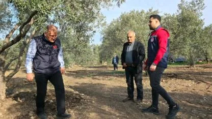 Zeytinde Kaliteyi Tehdit Eden Zararlıya Etkin Mücadele
