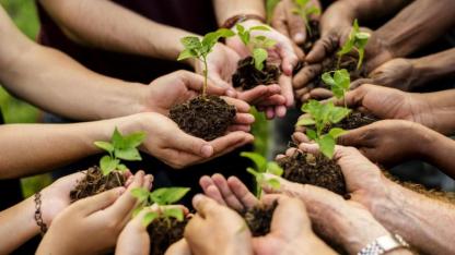 517 Milyon Fidan ve Tohum Toprakla Buluştu