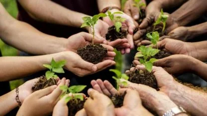 517 Milyon Fidan ve Tohum Toprakla Buluştu